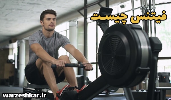 فیتنس چیست