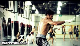 برنامه شادو بوکس