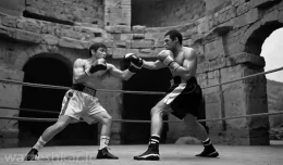 تاریخچه بوکس