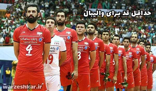 حداقل قد برای والیبال