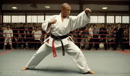 ده ورزش رزمی برتر دنیا