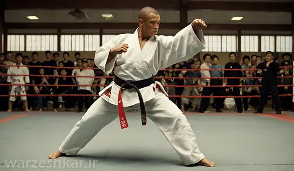 ده ورزش رزمی برتر دنیا