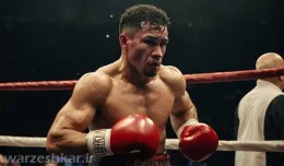 سبک پیکابو در بوکس