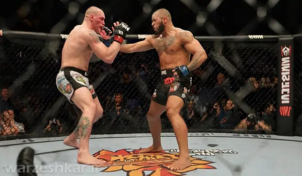 قوانین ام ام ای