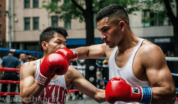 ناک اوت در دعوا